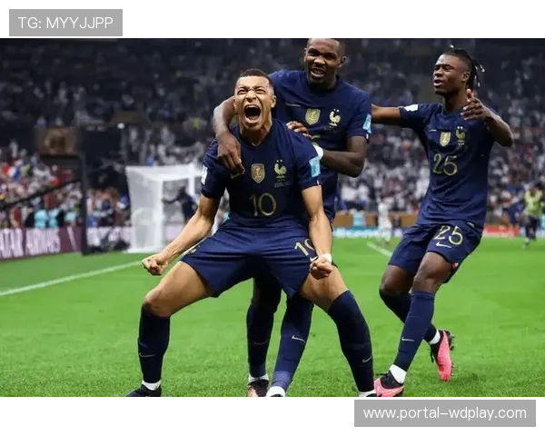 法国足协调查球迷骚乱事件，多俱乐部面临处罚风险